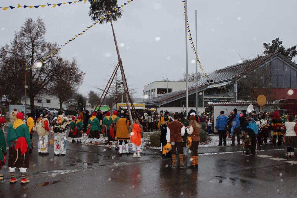 Narrenbaumstellen durch die Storchengäu-Freunde aus Einhart und Ebenweiler (Bild: Jo Maurer)